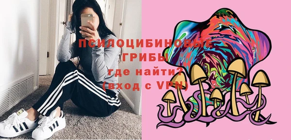 дмт Алексеевка