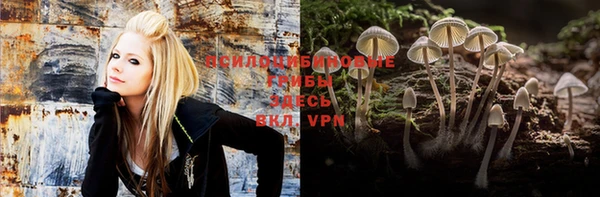 дмт Алексеевка