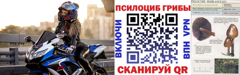 Псилоцибиновые грибы GOLDEN TEACHER  Санкт-Петербург 