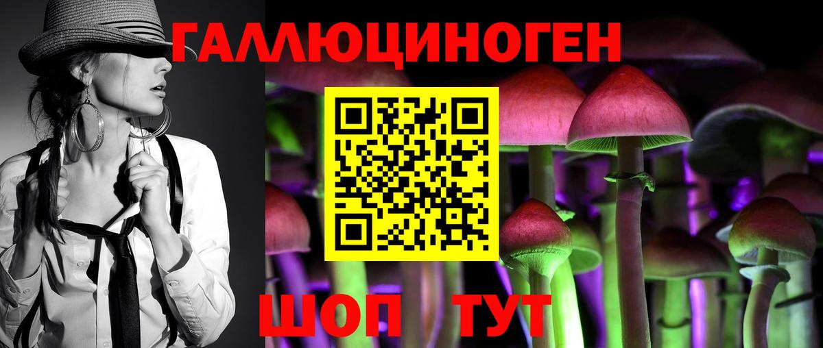 Галлюциногенные грибы Psilocybe  Вход с VPN  Санкт-Петербург 